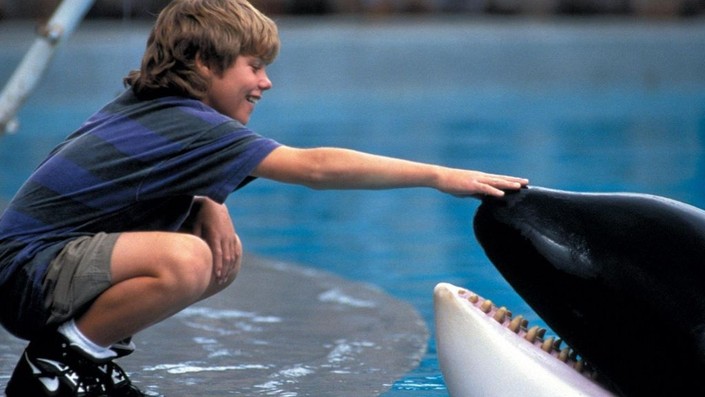 boy with orca whale