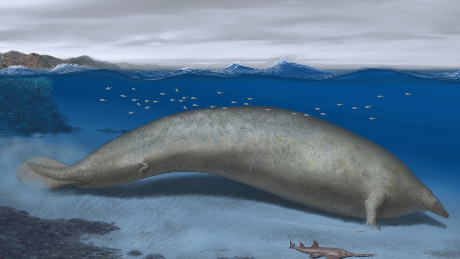 An ancient depiction of what is believed to be the largest whale of all time, who is grey in color