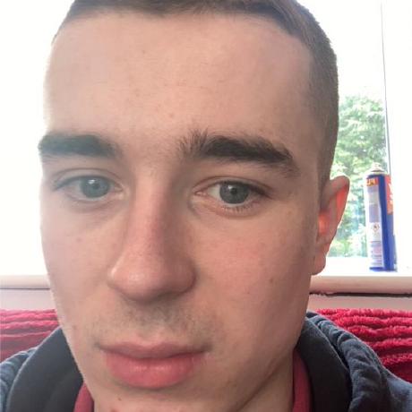 Hello, I'm Liam Treacy, this is my portrait